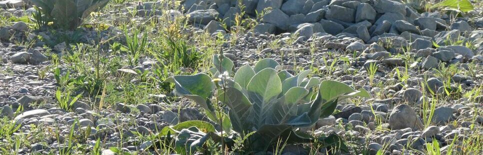 Atelier Garten und Wohnen Gmbh