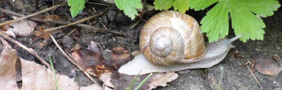 Atelier Garten und Wohnen Gmbh