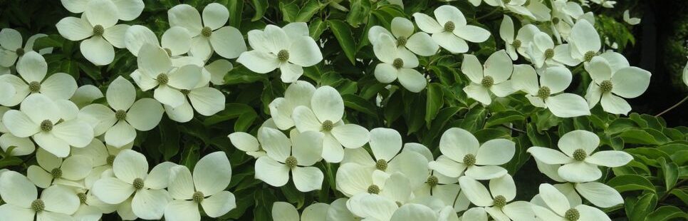 Atelier Garten und Wohnen Gmbh