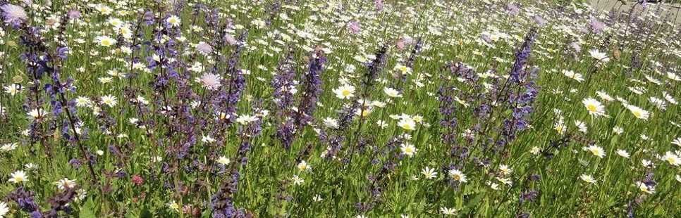 Atelier Garten und Wohnen Gmbh