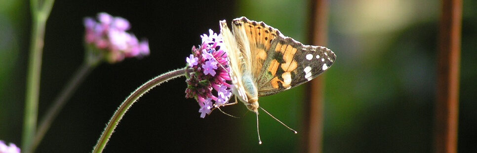 Atelier Garten und Wohnen Gmbh